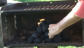 Easy Steps To Start A Charcoal Grill