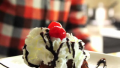 Fried Ice Cream Recipe