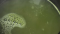 Japanese Green Tea
