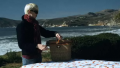 Tips To Keep Ants Off Your Picnic Table