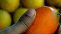 Mango Chutney Recipe