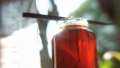 Kombucha Tea Recipe