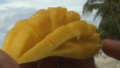 Tips To Cut A Mango