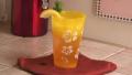 Tips To Make Iced Tea In A Snap