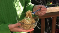How To Dress Ramen Noodles with Peanut Butter
