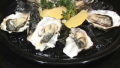 How to Shuck Oysters