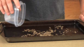 Tips To Eat Crickets