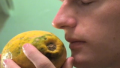 How To Identify if a Papaya is Ripe