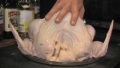Tips To Identify The Parts Of A Turkey