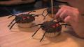 Halloween Cupcakes Recipe