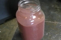 How To Make Immune System Booster Smoothie (organic & Vegan)