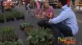 In A Farm Market With Diane And Sal Marino