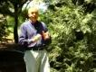 How To Control Pests In Your Garden
