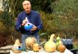 How To Dry Gourds