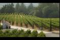 Jody Ness's Napa Valley Visit