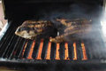 Infrared Grilled Salmon on the Solaire Anywhere Portable Grill