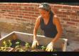 Details On Italian Kitchen Garden