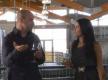 Niagara Wine Estate-Part4
