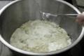 Jasmine Rice