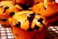 Blueberry Oat Muffins