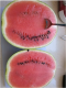 What I've Been Eating - June - July 2011