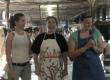 June, the Homemaker, milks a cow Video