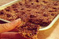Jungle Peanut Butter Quinoa Krispy Treats