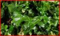 How To Make No Mess Massaged Kale Salad