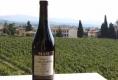 Masi Agricola Review