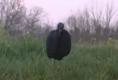 How To Hunt Kentucky Turkey