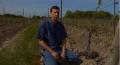 Know About Grafting In Vineyard