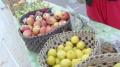 Know More About Rawfully Organic