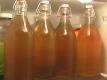 Kombucha Part 2