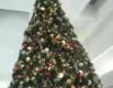 Weight Watchers Video 46