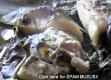 How To Make Lau Lau Recipe: Hawaiian Pork And Taro Packets (laulau)
