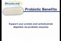 About Probiotics