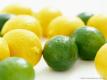 Seasons - Lemons
