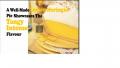 Tips For Storing A Lemon Meringue Pie