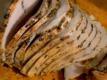 How To Make Lemon Brined Pork Roast With Gravy