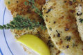 Lemon Thyme and White Wine Chicken