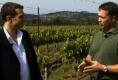 Cakebread Cellars Review