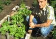 Tips On Growing High Quality Lettuce