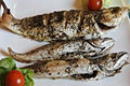 Light Moroccan Baked Fish Express