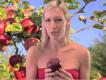 About Apples Video