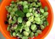 How To Make Lima Beans And Water Chestnuts