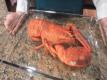 Lobster- Removing the Meat