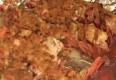 Whole Stuffed Lobsters