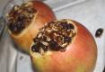 Loganberry Stuffed Apples