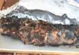 How To Make Colombian Fired Filet