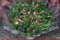 Low-Calorie Vegetable Rainbow Salad 